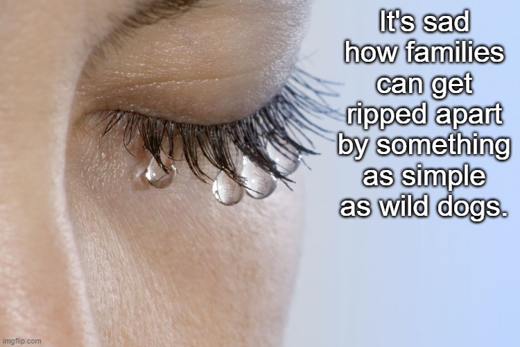 crying pain | It's sad how families can get ripped apart by something as simple as wild dogs. | image tagged in crying pain | made w/ Imgflip meme maker