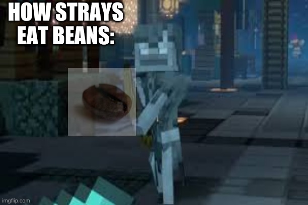 Stray eat beans | HOW STRAYS EAT BEANS: | image tagged in certified bruh moment | made w/ Imgflip meme maker