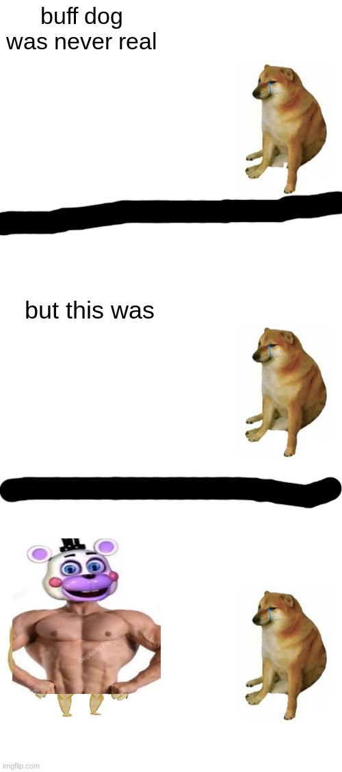 (akifhaziq the mod: bruh) | buff dog was never real; but this was | image tagged in memes,buff doge vs cheems | made w/ Imgflip meme maker