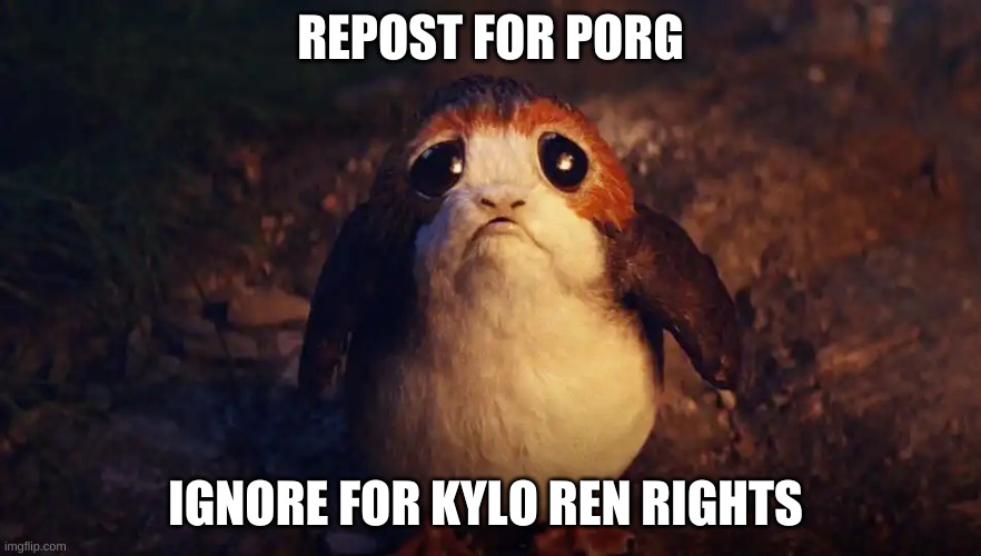 e | REPOST FOR PORG; IGNORE FOR KYLO REN RIGHTS | image tagged in e | made w/ Imgflip meme maker