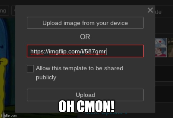 Why Do I Never Get To Use URL Instead Of Flies | OH CMON! | made w/ Imgflip meme maker