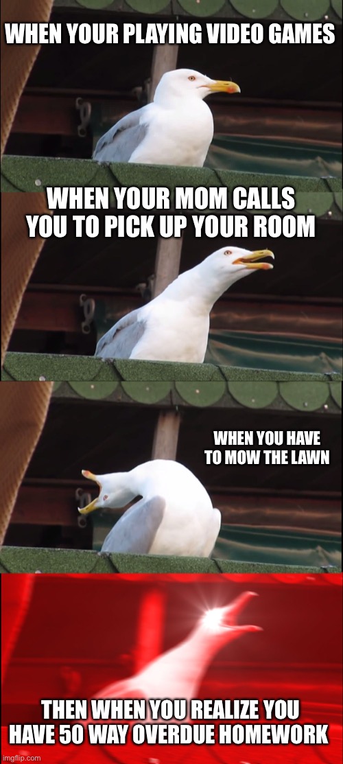 Inhaling Seagull | WHEN YOUR PLAYING VIDEO GAMES; WHEN YOUR MOM CALLS YOU TO PICK UP YOUR ROOM; WHEN YOU HAVE TO MOW THE LAWN; THEN WHEN YOU REALIZE YOU HAVE 50 WAY OVERDUE HOMEWORK | image tagged in memes,inhaling seagull | made w/ Imgflip meme maker