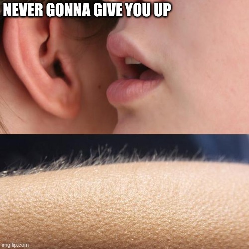Whisper and Goosebumps | NEVER GONNA GIVE YOU UP | image tagged in whisper and goosebumps,memes,rick rolled | made w/ Imgflip meme maker