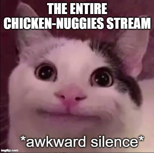Yay people are posting again |  THE ENTIRE CHICKEN-NUGGIES STREAM | image tagged in awkward silence cat | made w/ Imgflip meme maker
