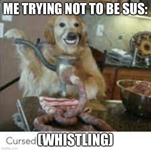 ME TRYING NOT TO BE SUS:; (WHISTLING) | image tagged in funny memes | made w/ Imgflip meme maker