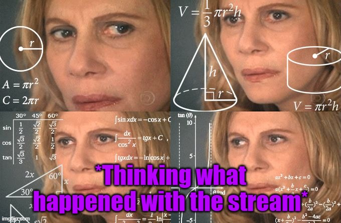 Calculating meme | *Thinking what happened with the stream* | image tagged in calculating meme | made w/ Imgflip meme maker