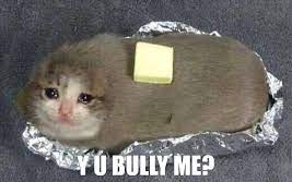 Y U BULLY me crying cat burrito Blank Meme Template