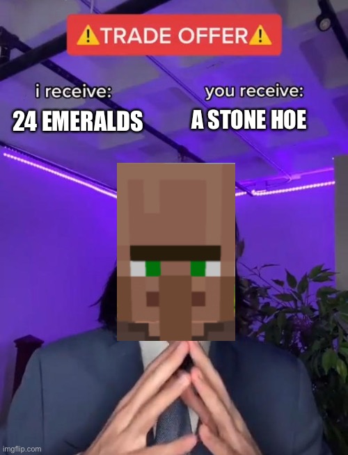 That villager i found last year | A STONE HOE; 24 EMERALDS | image tagged in trade offer | made w/ Imgflip meme maker