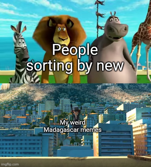 People sorting by new; My weird Madagascar memes | image tagged in spam,imgflip,madagascar | made w/ Imgflip meme maker