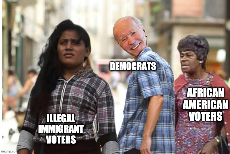 DEMOCRATS; AFRICAN AMERICAN VOTERS; ILLEGAL IMMIGRANT VOTERS | image tagged in the new 'america',america,illegal immigrants,migrants | made w/ Imgflip meme maker