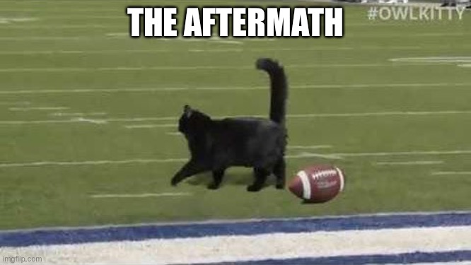 THE AFTERMATH | made w/ Imgflip meme maker