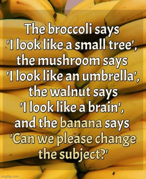 LMFAO | image tagged in e | made w/ Imgflip meme maker