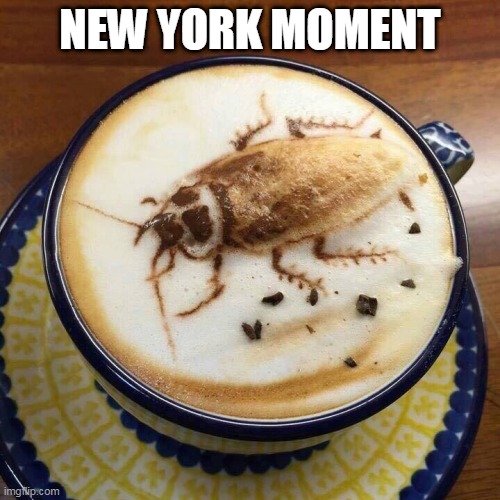 New York |  NEW YORK MOMENT | image tagged in bug,cockroach,new york,coffee | made w/ Imgflip meme maker