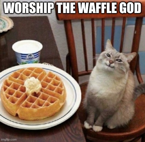 Happy cat with waffle | WORSHIP THE WAFFLE GOD | image tagged in happy cat with waffle | made w/ Imgflip meme maker