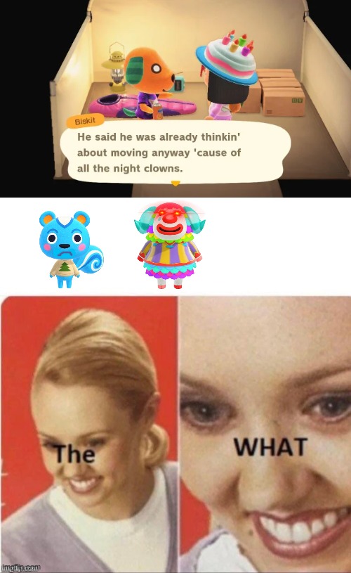 Sorry Filbert :( | image tagged in the what | made w/ Imgflip meme maker