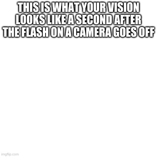 Blank Transparent Square | THIS IS WHAT YOUR VISION LOOKS LIKE A SECOND AFTER THE FLASH ON A CAMERA GOES OFF | image tagged in memes,blank transparent square,funny,funny memes,fun,imgflip | made w/ Imgflip meme maker