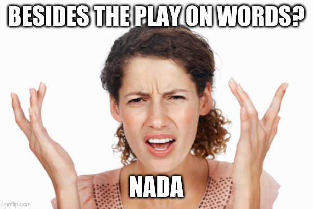 Indignant | BESIDES THE PLAY ON WORDS? NADA | image tagged in indignant | made w/ Imgflip meme maker