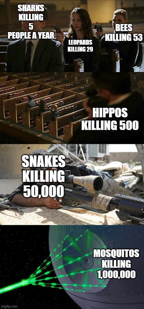 Church gun expanded | SHARKS KILLING 5 PEOPLE A YEAR; LEOPARDS KILLING 29; BEES KILLING 53; HIPPOS KILLING 500; SNAKES KILLING 50,000; MOSQUITOS KILLING 1,000,000 | image tagged in church gun meme expanded | made w/ Imgflip meme maker