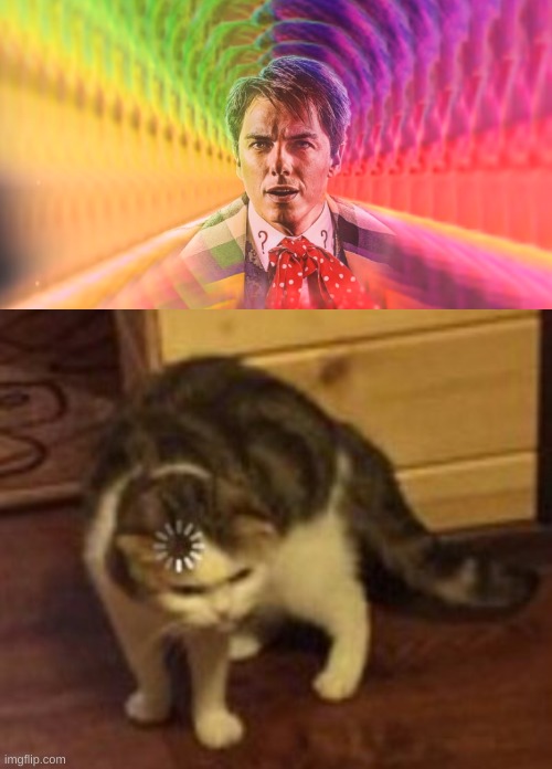 image tagged in captain jack's ugly outfit,loading cat | made w/ Imgflip meme maker