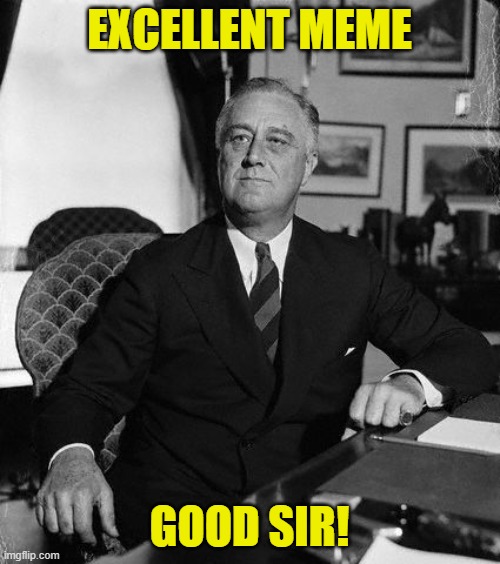 FdR | EXCELLENT MEME GOOD SIR! | image tagged in fdr | made w/ Imgflip meme maker