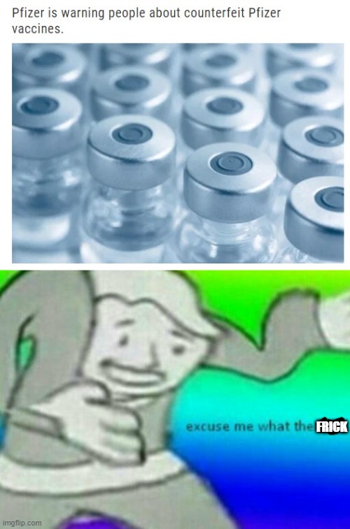 WHAT? | FRICK | image tagged in excuse me wtf | made w/ Imgflip meme maker