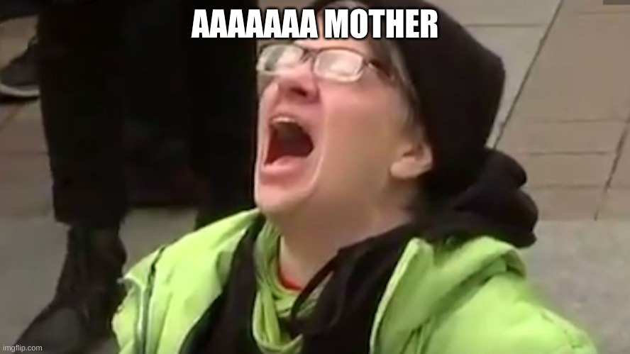 Screaming Liberal  | AAAAAAA MOTHER | image tagged in screaming liberal | made w/ Imgflip meme maker