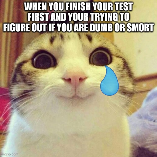 Smiling Cat Meme | WHEN YOU FINISH YOUR TEST FIRST AND YOUR TRYING TO FIGURE OUT IF YOU ARE DUMB OR SMORT | image tagged in memes,smiling cat | made w/ Imgflip meme maker