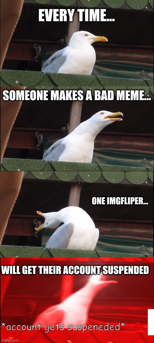 Suspended account | EVERY TIME... SOMEONE MAKES A BAD MEME... ONE IMGFLIPER... WILL GET THEIR ACCOUNT SUSPENDED; *account gets suspeneded* | image tagged in memes,inhaling seagull | made w/ Imgflip meme maker