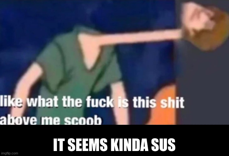 Like what the f*ck is this sh*t above me scoob | IT SEEMS KINDA SUS | image tagged in like what the f ck is this sh t above me scoob | made w/ Imgflip meme maker