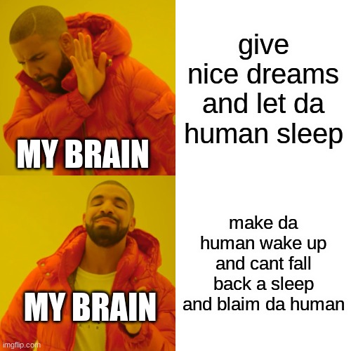 Drake Hotline Bling | give nice dreams and let da human sleep; MY BRAIN; make da human wake up and cant fall back a sleep and blaim da human; MY BRAIN | image tagged in memes,drake hotline bling | made w/ Imgflip meme maker