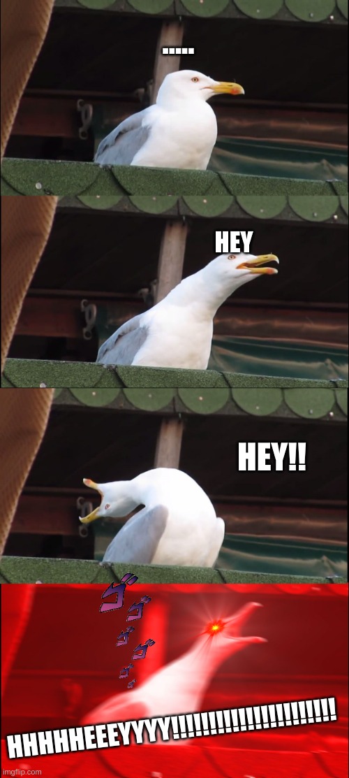 Inhaling Seagull Meme | ..... HEY; HEY!! HHHHHEEEYYYY!!!!!!!!!!!!!!!!!!!!!! | image tagged in memes,inhaling seagull | made w/ Imgflip meme maker