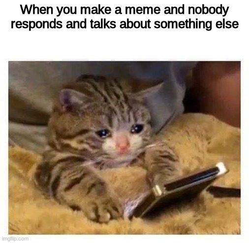 Sad Times | When you make a meme and nobody responds and talks about something else | image tagged in crying cat | made w/ Imgflip meme maker