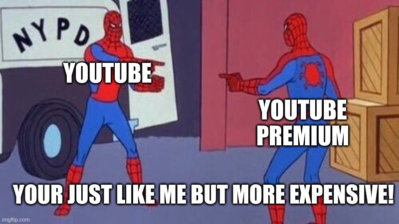 true | YOUTUBE; YOUTUBE PREMIUM; YOUR JUST LIKE ME BUT MORE EXPENSIVE! | image tagged in spiderman pointing at spiderman,youtube | made w/ Imgflip meme maker