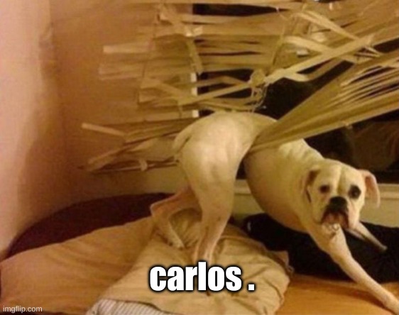carlos. | carlos . | image tagged in funny memes,spanish | made w/ Imgflip meme maker