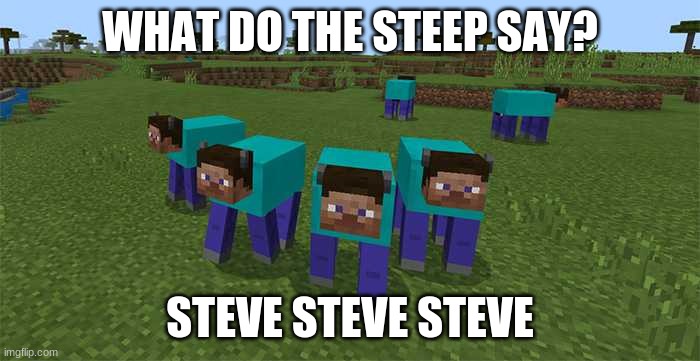 What do the steep say? | WHAT DO THE STEEP SAY? STEVE STEVE STEVE | image tagged in me and the boys | made w/ Imgflip meme maker