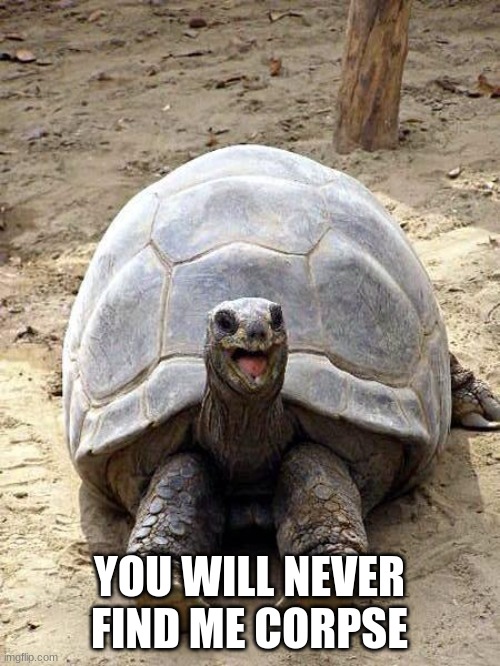 Smiling happy excited tortoise | YOU WILL NEVER FIND ME CORPSE | image tagged in smiling happy excited tortoise | made w/ Imgflip meme maker