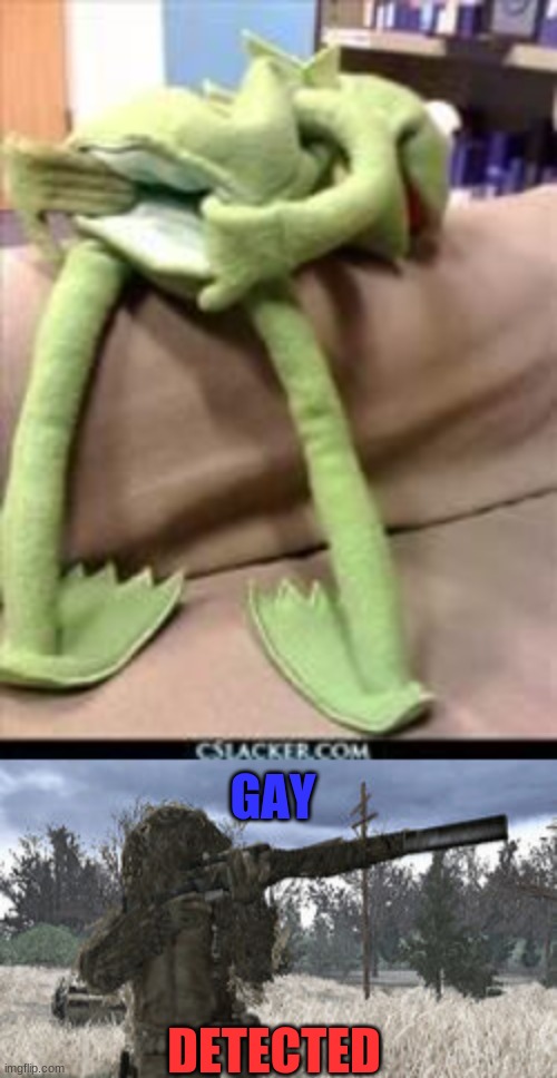 GAY; DETECTED | image tagged in gay kermit | made w/ Imgflip meme maker