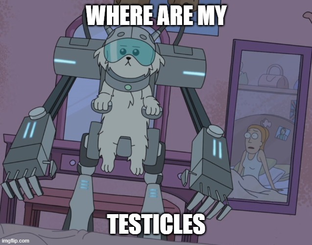 Where are my testicles summer  | WHERE ARE MY TESTICLES | image tagged in where are my testicles summer | made w/ Imgflip meme maker