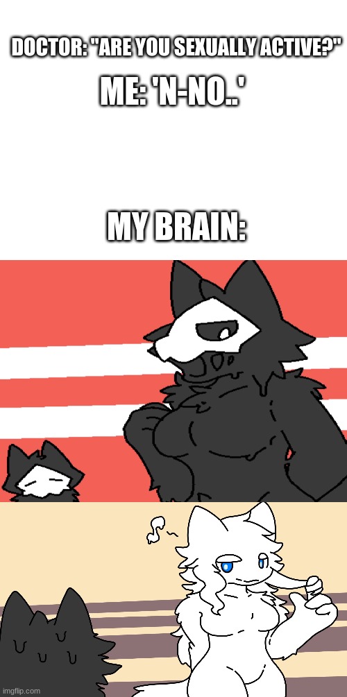 changed special meme | DOCTOR: "ARE YOU SEXUALLY ACTIVE?"; ME: 'N-NO..'; MY BRAIN: | image tagged in blank white template,pc gaming,pc,rpg,furry | made w/ Imgflip meme maker