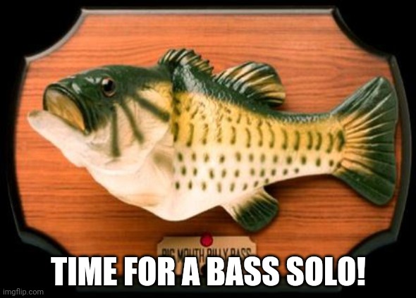 big mouth billy bass | TIME FOR A BASS SOLO! | image tagged in big mouth billy bass | made w/ Imgflip meme maker