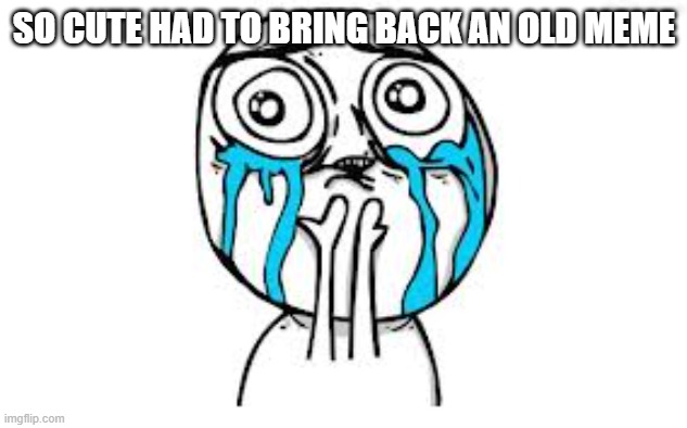 Crying Because Of Cute Meme | SO CUTE HAD TO BRING BACK AN OLD MEME | image tagged in memes,crying because of cute | made w/ Imgflip meme maker