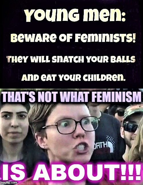 remarkable how you can put a sensible point in front of the triggered feminist and it falls apart | made w/ Imgflip meme maker