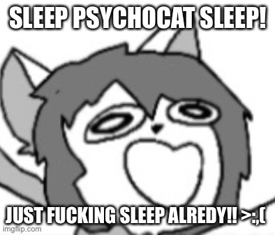 SLEEP PSYCHOCAT SLEEP! JUST FUCKING SLEEP ALREDY!! >:,( | made w/ Imgflip meme maker