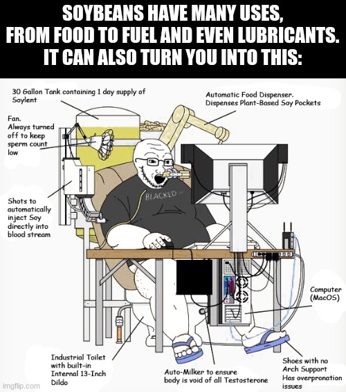 SOYBEANS HAVE MANY USES, FROM FOOD TO FUEL AND EVEN LUBRICANTS. IT CAN ALSO TURN YOU INTO THIS: | image tagged in soyboy,soylent,wojak | made w/ Imgflip meme maker