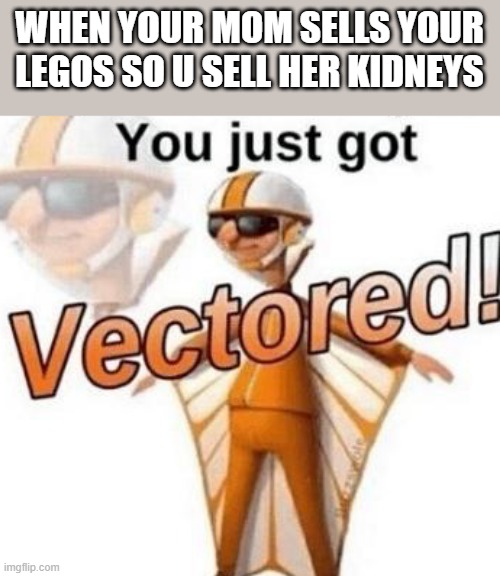 You happen to have been bamboozled by a specific person, who goes by the title, "vector" | WHEN YOUR MOM SELLS YOUR LEGOS SO U SELL HER KIDNEYS | image tagged in you just got vectored,vector,legos,mom | made w/ Imgflip meme maker