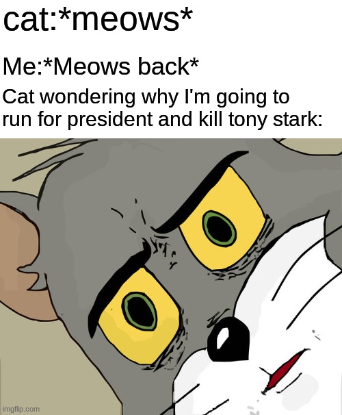 Unsettled Tom Meme | cat:*meows* Me:*Meows back* Cat wondering why I'm going to run for president and kill tony stark: | image tagged in memes,unsettled tom | made w/ Imgflip meme maker