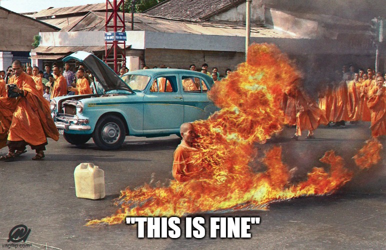 "THIS IS FINE" | image tagged in funny memes | made w/ Imgflip meme maker