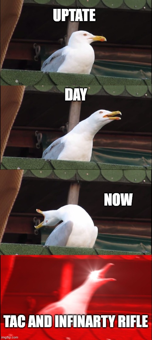 Inhaling Seagull Meme | UPTATE; DAY; NOW; TAC AND INFINARTY RIFLE | image tagged in memes,inhaling seagull | made w/ Imgflip meme maker
