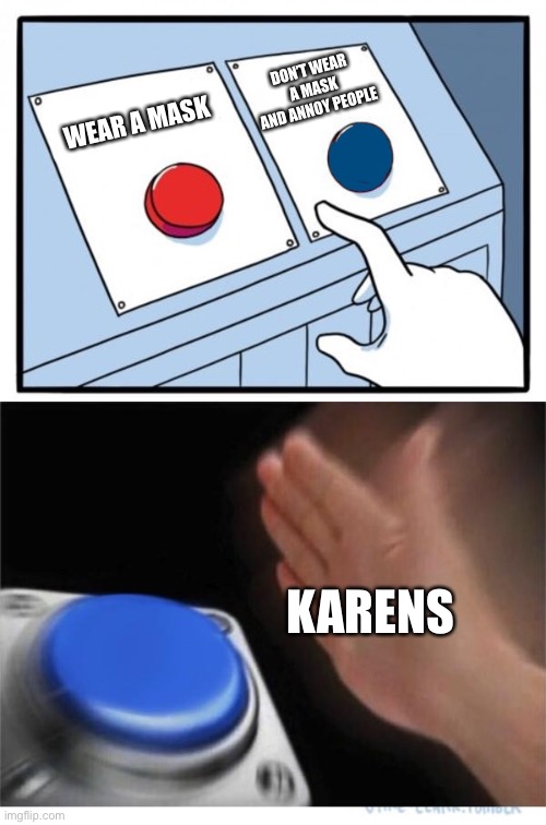 Buttons | DON’T WEAR A MASK AND ANNOY PEOPLE; WEAR A MASK; KARENS | image tagged in two buttons 1 blue | made w/ Imgflip meme maker