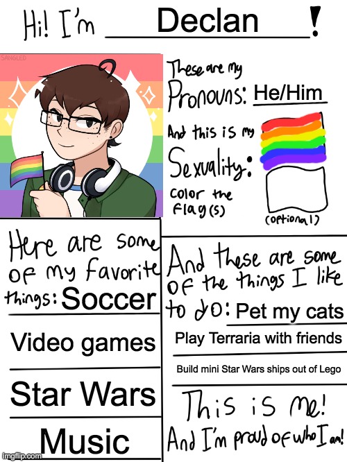 Did I do this right? | Declan; He/Him; Soccer; Pet my cats; Video games; Play Terraria with friends; Build mini Star Wars ships out of Lego; Star Wars; Music | image tagged in lgbtq stream account profile,lgbtq,gay pride | made w/ Imgflip meme maker